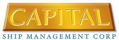 Partner 3